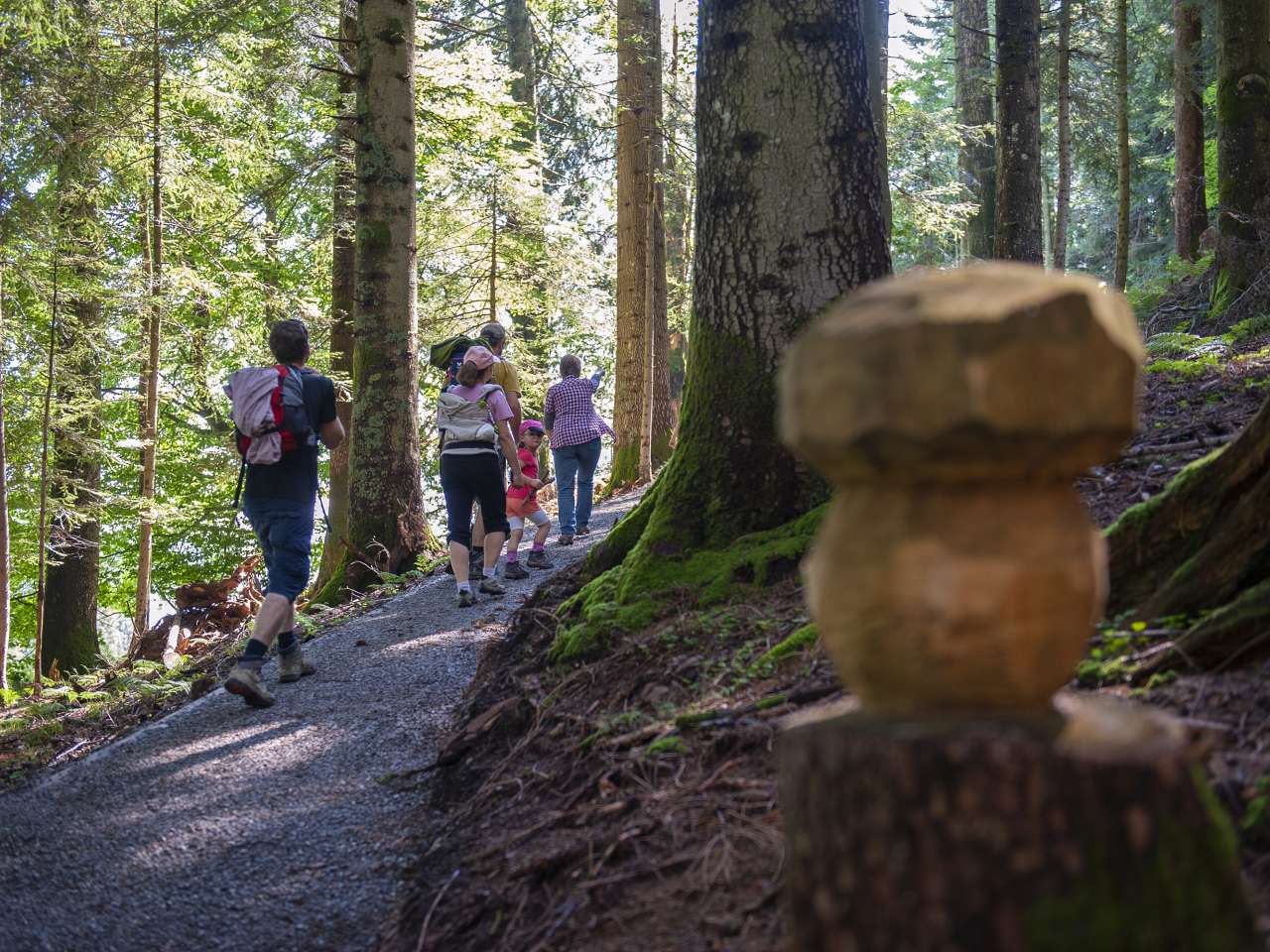 WANDERN