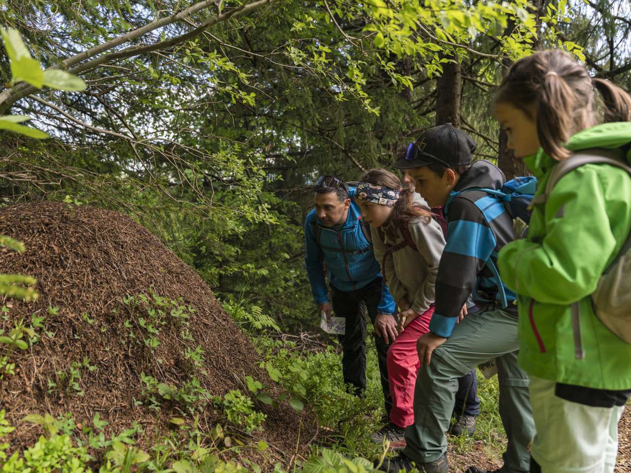Klimaerlebnisweg Toggenburg
